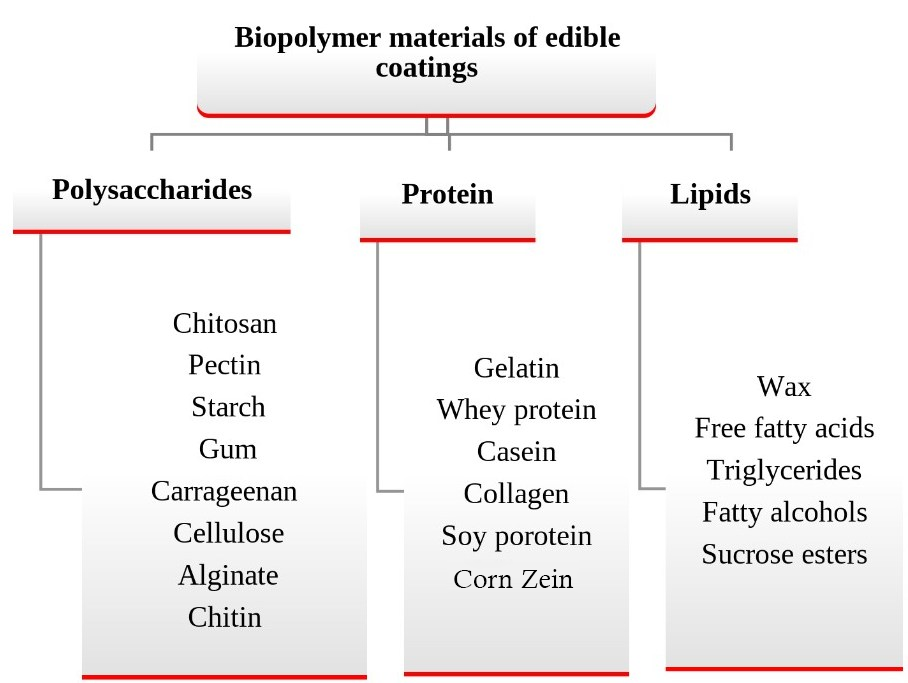 Figure 2: <p>Major biopolymer components used in edible films and coatings. Adapted from [<span class="citation-range"><a href="#ref55">55</a>, <a href="#ref58">58</a>, <a href="#ref63">63</a></span>].</p>