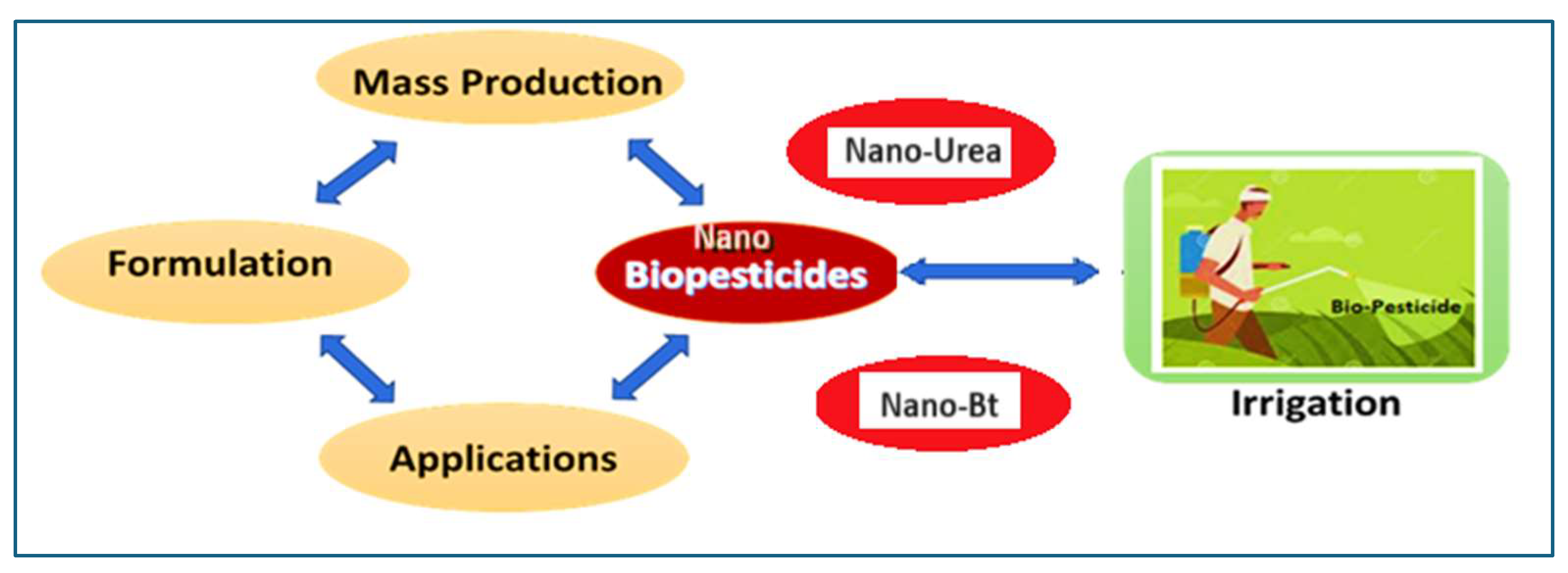 Figure 11: NMs-based bio-pesticides, urea, and Bacillus thuringiensis (Bt) used in agriculture.