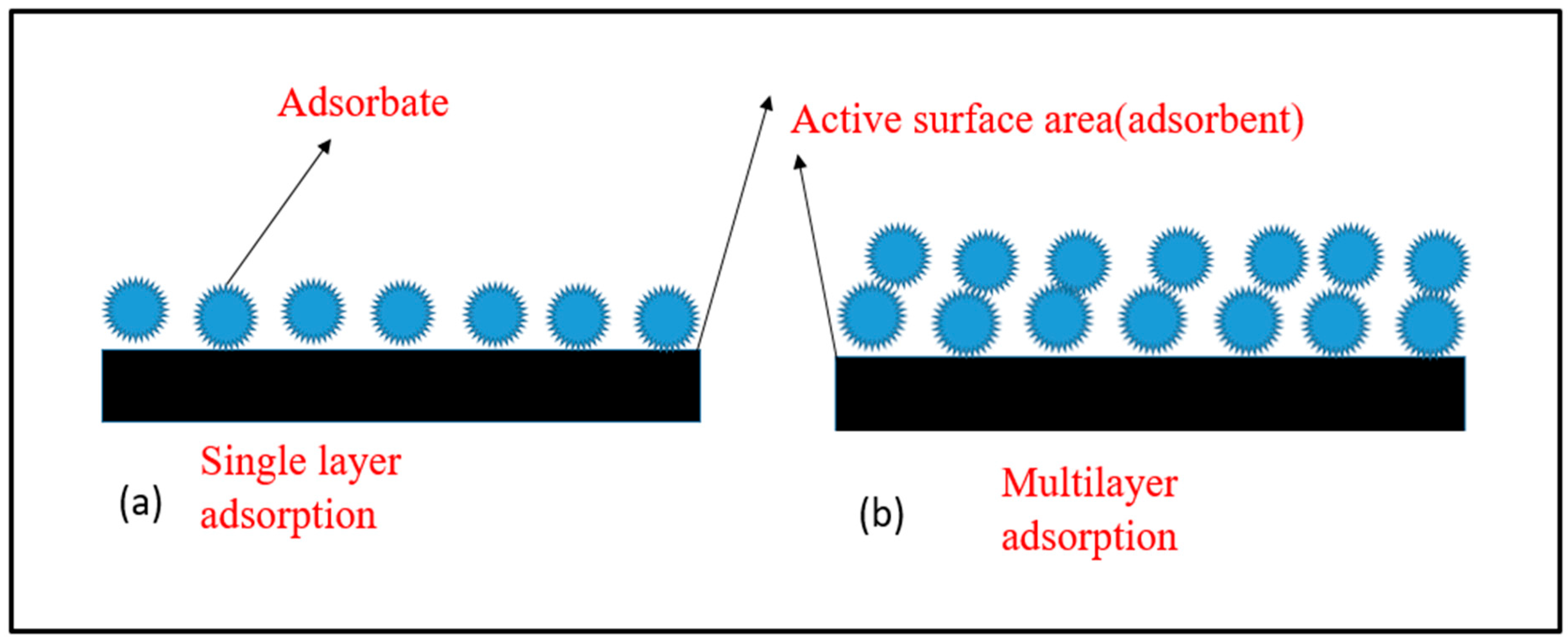 Figure 4: (a) Single-layer adsorption (b) Multilayer adsorption process.