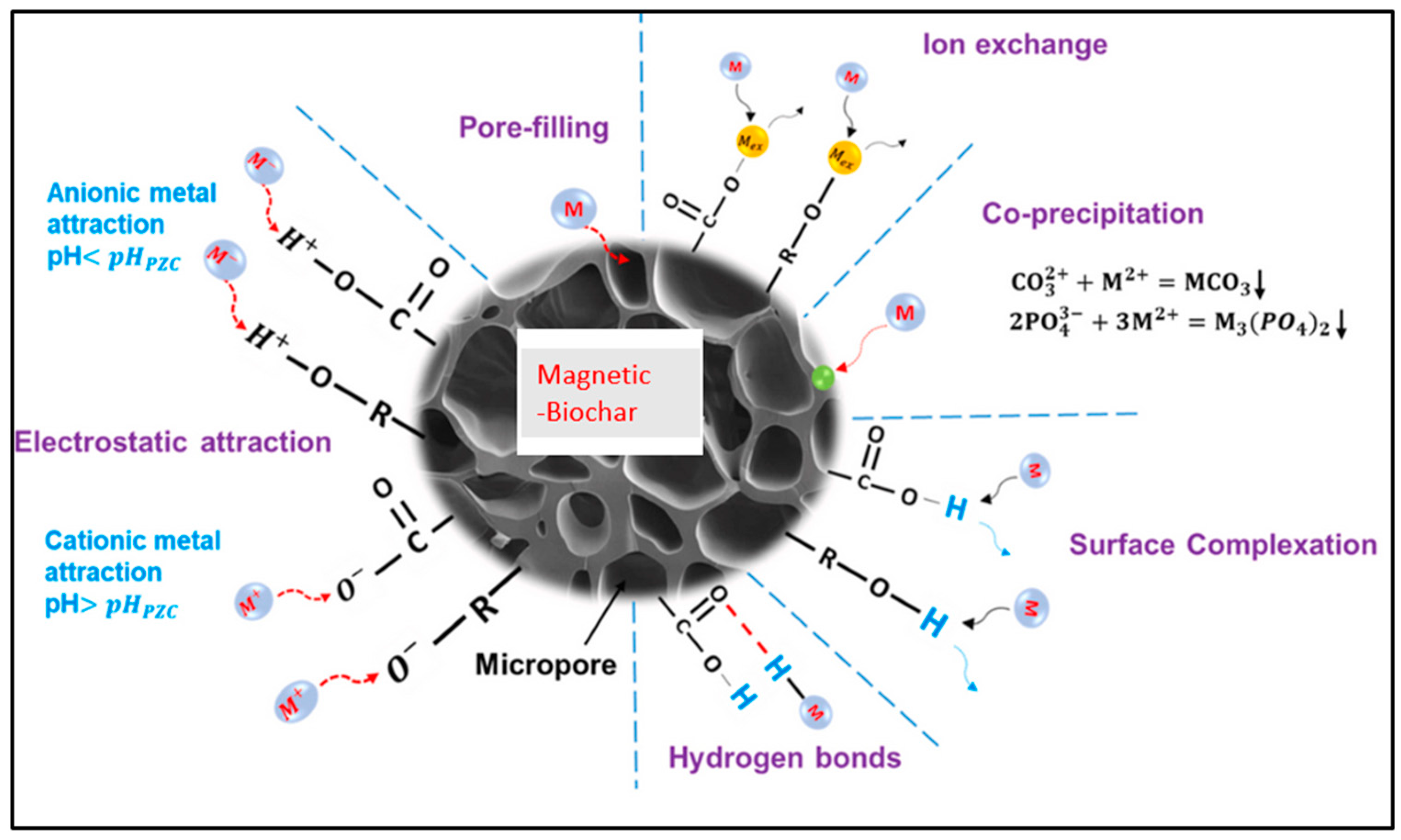 Figure 5: Mechanisms of pollutant removal using magnetic biochar (adopted from [122]).