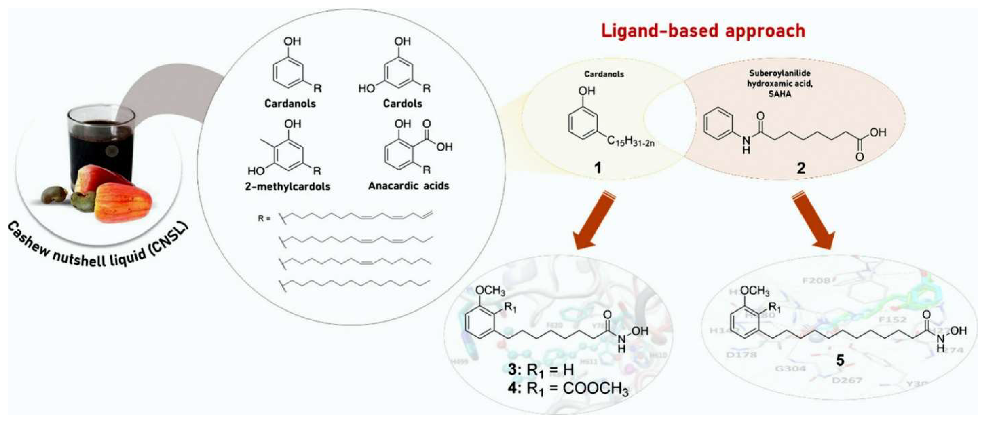 Figure 1: Antiparasitic compounds 3&ndash;5 obtained from CNSL, a byproduct of the cashew nut industry (Reproduced from [11] under the provisions of CC-BY 4.0. Copyright &copy; 2025 The Authors. Published by American Chemical Society).