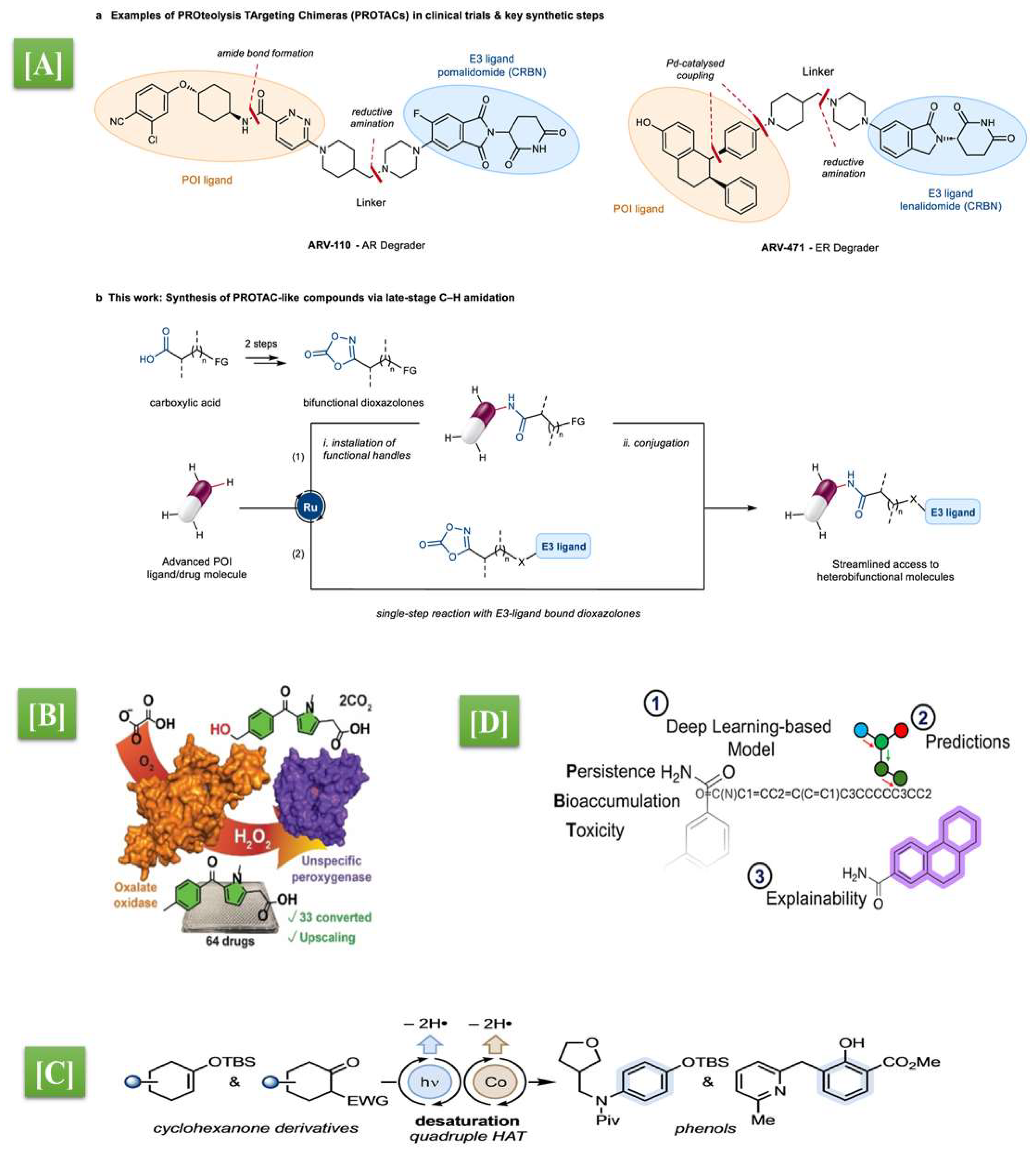 Figure 2: (A) Developing a late-stage C‒H functionalization platform applicable to the synthesis of heterobifunctional compounds: (a) PROTACs consist of 3 different structural components: a POI-ligand, an E3-ligand, and a linker. As representative examples, the chemical structures of ARV-110 and ARV-471, the first 2 PROTACs to enter clinical trials, are shown. Multistep and labor-intensive synthetic sequences are required in PROTAC discovery, typically relying on the de novo synthesis of pre-functionalized POI-ligand precursors. (b) Ruthenium-catalyzed late-stage C‒H amidation with readily available dioxazolone reagents. Streamlined access to PROTAC-like molecules and other drug conjugates is provided through direct C‒H functionalization of advanced POI-ligands, either in a stepwise (i.e., installation of functional handles for subsequent conjugation, path (1), or a single-step approach (path (2)). POI protein of interest, CRBN cereblon E3 ligase, AR androgen receptor, ER estrogen receptor, FG functional handle (for conjugation), X linker attachment. (Reproduced from [20] under the provisions of http://creativecommons.org/licenses/by/4.0/, Copyright &copy; 2023, The Author(s)). (B) High-throughput &mu;L-scale screenings revealed optimal conditions for in situ H2O2-generation using oxalate oxidase in bioconversions catalysed by unspecific peroxygenase. This enzymatic tandem exhibits extraordinary potential for selective C‒H oxyfunctionalisation reactions of complex drug scaffolds. (Reproduced from [23] under the provisions of https://creativecommons.org/licenses/, Copyright &copy; 2022 AstraZeneca. Angewandte Chemie International Edition published by Wiley-VCH GmbH). (C) Synergistic photocatalytic H-atom transfer and cobalt dual catalysis enable the desaturative synthesis of phenols from cyclohexanone derivatives by formal removal of four H-atoms. (Reproduced from [29] under the provisions of https://creativecommons.org/licenses/, Copyright &copy; 2023 The Authors. Angewandte Chemie International Edition published by Wiley-VCH GmbH). (D) Use of a deep learning model to predict the PBT (persistence, bioaccumulation, and toxicity) properties of pharmaceuticals, identifying the problematic substructures early in drug discovery to facilitate the development of greener, yet equally effective, drug candidates. (Reproduced from [41] under the provisions of https://creativecommons.org/licenses/by/4.0/, Copyright &copy; 2025 The Authors. Published by American Chemical Society).