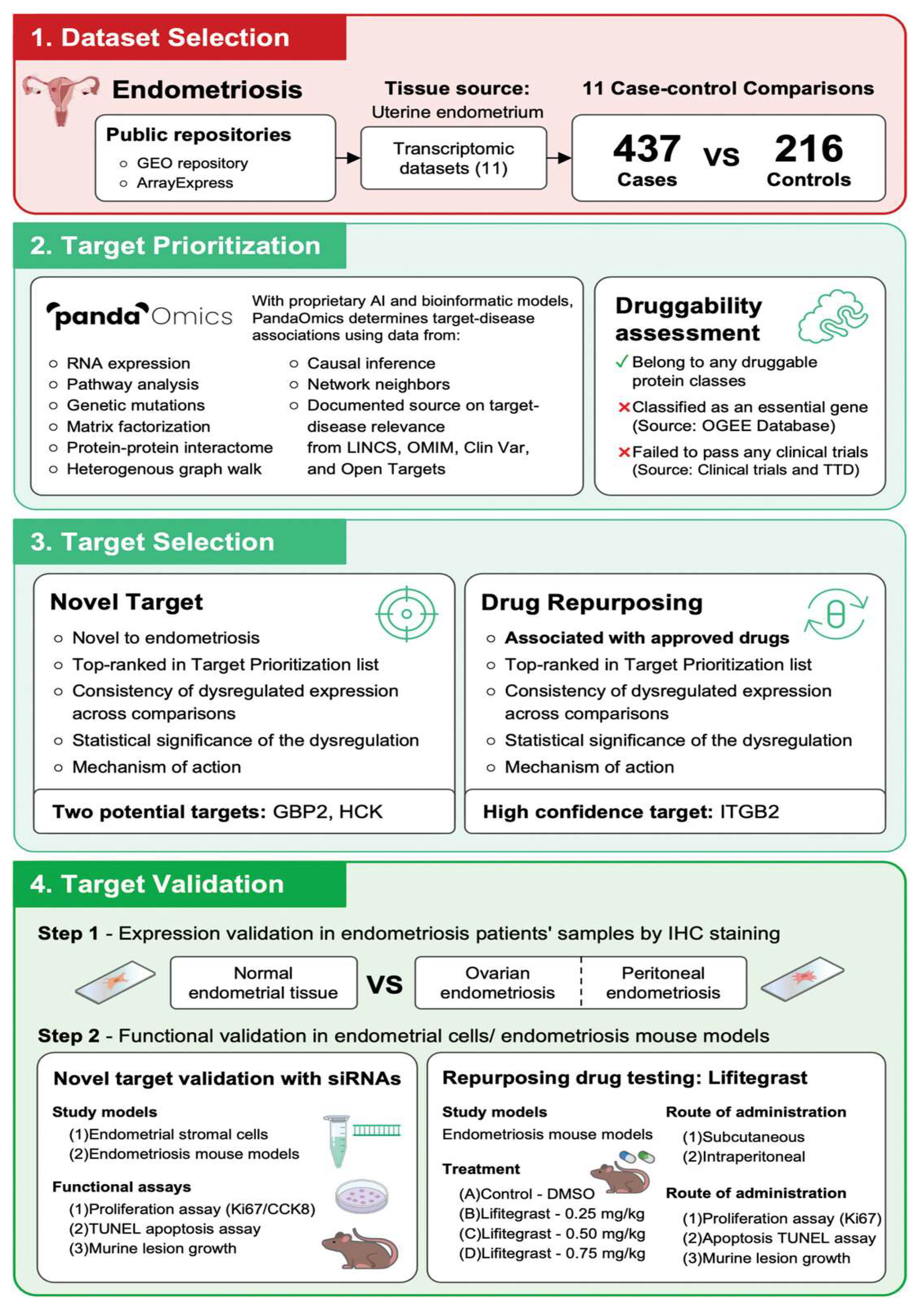 Figure 5: Workflow for identifying therapeutic targets and repurposing drugs for endometriosis using artificial intelligence techniques. (1) Dataset selection: With the input of 11 ectopic endometrium transcriptomic datasets, 11 case-control comparisons were generated using 437 cases collected from patients with endometriosis and 216 healthy control samples for therapeutic target identification. (2) Target prioritization: With its proprietary AI and bioinformatic models, PandaOmics is a generative AI system that determines target-disease association and prioritizes targets using the listed sources and characteristics. This prioritization step also integrates a druggability assessment of candidate targets. (3) Target selection: Following the prioritization of targets based on the listed characteristics, GBP2 and HCK were selected as novel targets. In parallel, ITGB2 was nominated as a high-confidence target for drug repurposing. (4) Target validation: Proposed targets were validated by histology in patient samples and functional validation in preclinical endometriosis models. GEO: Gene Expression Omnibus; LINCS: Library of Integrated Network-Based Cellular Signatures; OMIM: Online Mendelian Inheritance in Man; OGEE: Online Gene Essentiality; TTD: Therapeutic Target Database. (Reproduced from [77] under the provisions of https://creativecommons.org/licenses/ Copyright &copy; 2024 The Author(s). Advanced Science published by Wiley-VCH GmbH).