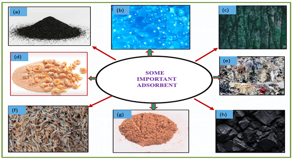 Figure 6: <p>Various adsorbents (<strong>a</strong>) activated carbon (<strong>b</strong>) silica gel (<strong>c)</strong> plant bark (<strong>d</strong>) chitosan (<strong>e</strong>) cotton waste (<strong>f</strong>) rice husk (<strong>g</strong>) saw dust (<strong>h</strong>) natural coal.</p>