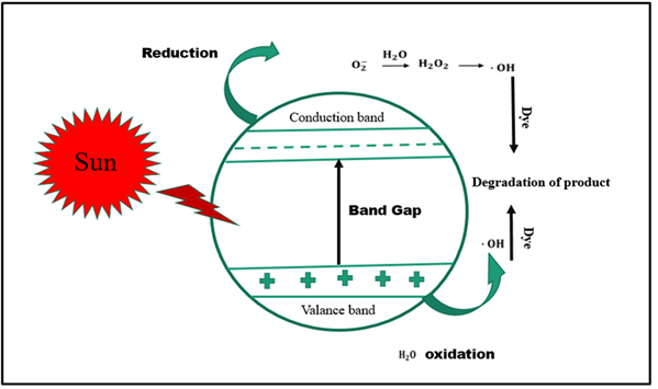 Figure 7: <p>Mechanism of photocatalytic dye degradation.</p>