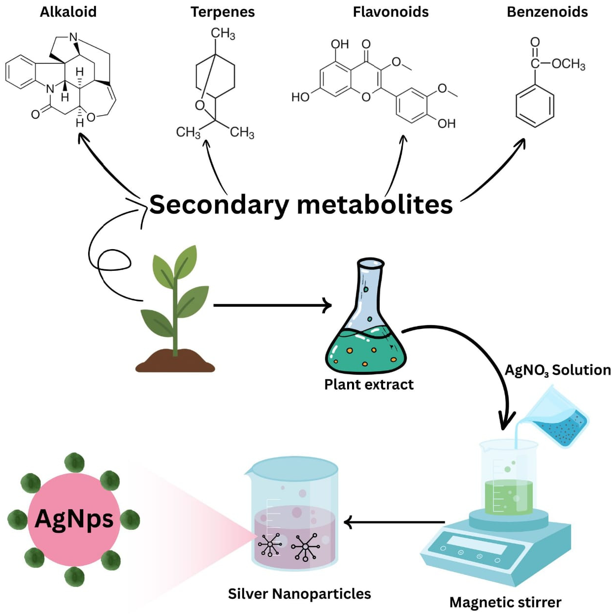 Figure 2: <p>Proposed mechanism of silver nanoparticles (AgNPs) synthesis mediated by plant extracts. The figure illustrates the involvement of plant-derived secondary metabolites, including alkaloids, terpenes, flavonoids, and benzenoids, in the synthesis and stabilization of silver nanoparticles through the green synthesis approach.</p>