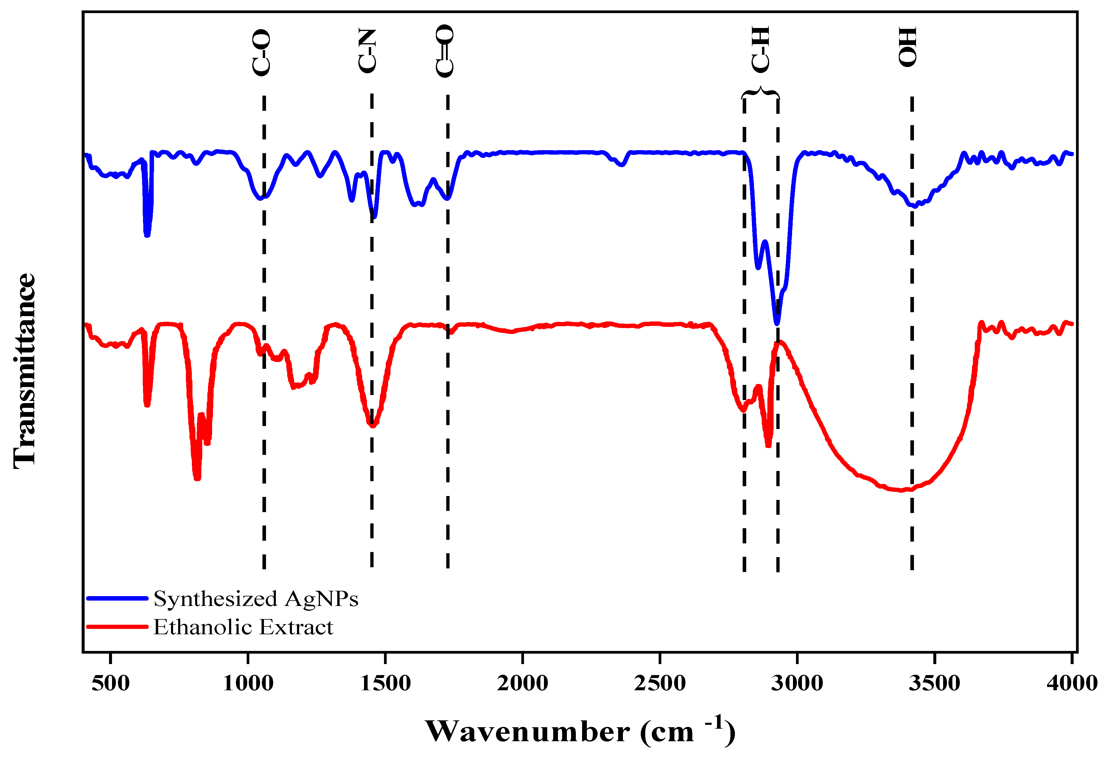 Figure 5: <p>FTIR spectra of (a, red) the ethanolic extract of <em>M. spicata</em> and (b, blue) the synthesized AgNPs.</p>