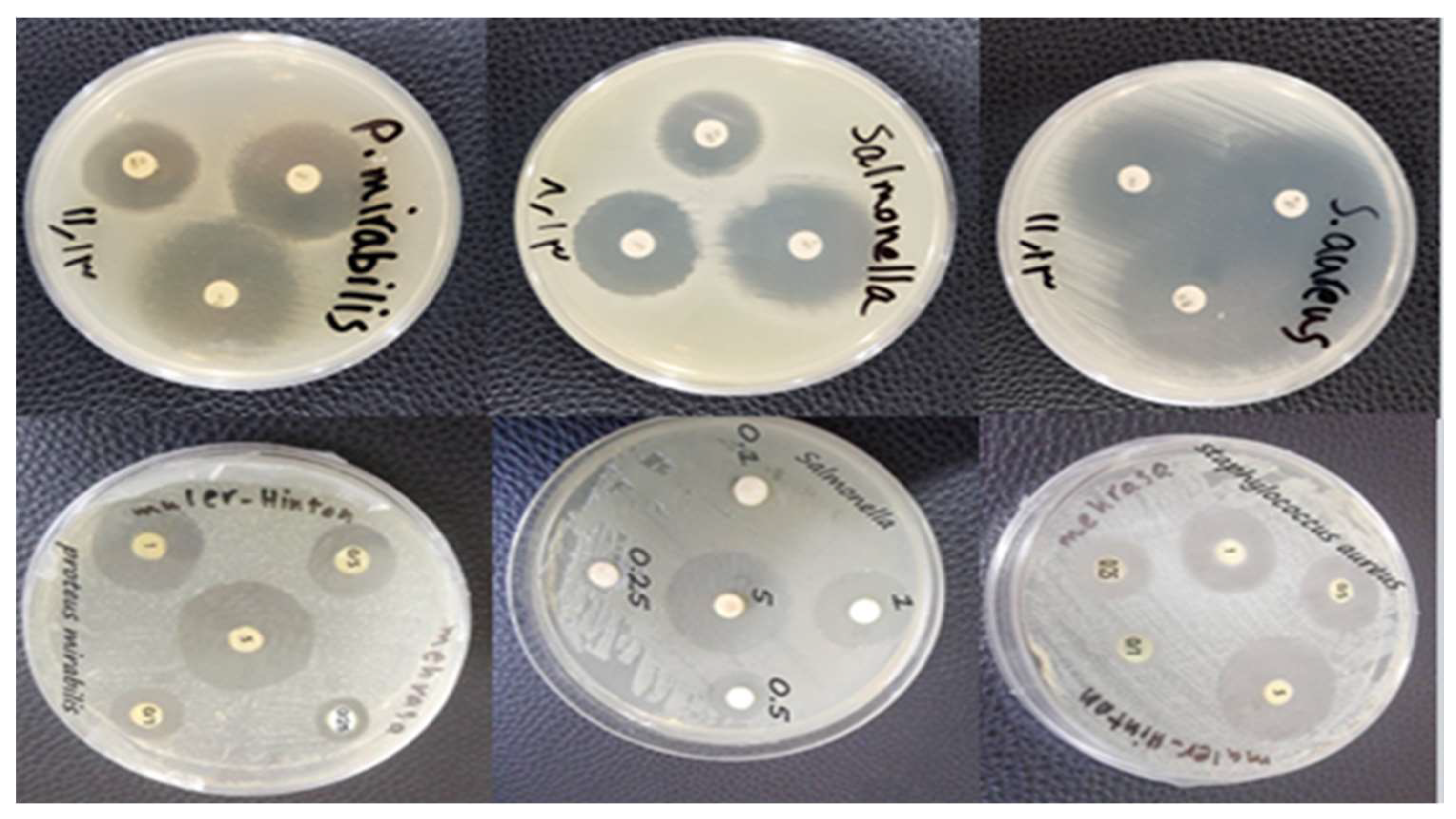 Figure 9: <p>Diameter of the bacterial growth inhibition zones produced by synthesized AgNPs (A) and control antibiotics (B) against the tested bacteria.</p>