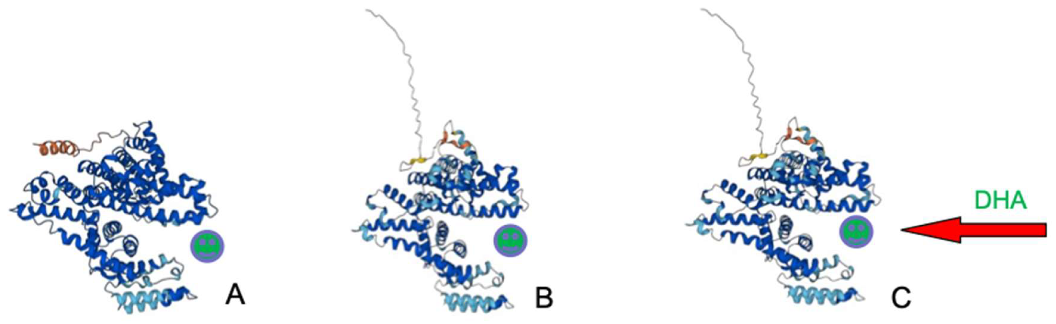 Figure 2: <p>Serum albumin (<strong>A</strong>), human (<strong>B</strong>), and porcine (<strong>C</strong>) AFP 3D structures (<a href="https://alphafold.ebi.ac.uk" target="_blank" rel="noopener noreferrer">https://alphafold.ebi.ac.uk</a>, accessed on 1 November 2024). The structure (<strong>B</strong>) is confirmed by the Cryo-EM structure generated with PDB ID 8X1N [<a href="#ref31">31</a>]. DHA: docosahexaenoic acid.</p>